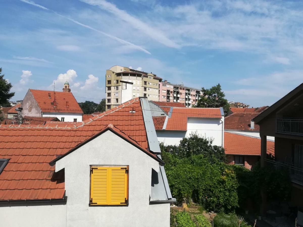 Apartments Tatjana Jagodina Eksteriør bilde